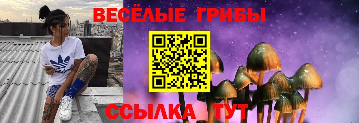 Галлюциногенные грибы Psilocybine cubensis  как найти закладки  Вичуга  Вход с VPN 